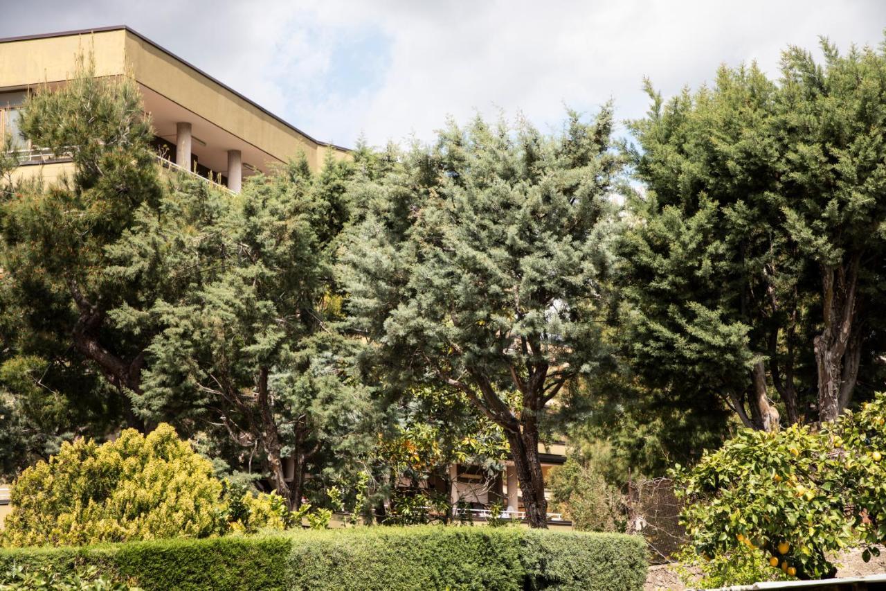 L' Albero Di Giada Bed & Breakfast Caserta Exterior foto